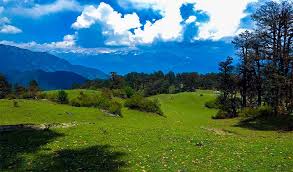 Snow Meadow