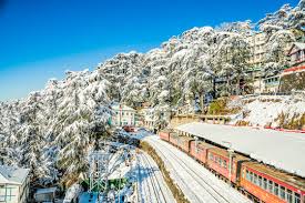 Shimla